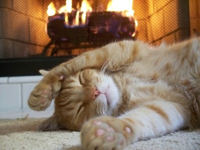 Advanced Home Comfort
